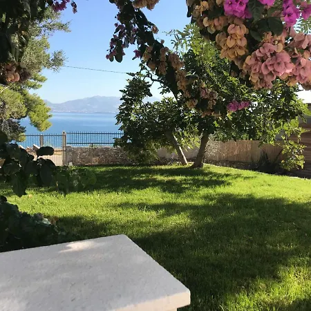 Luxury Family Front - Sunday House