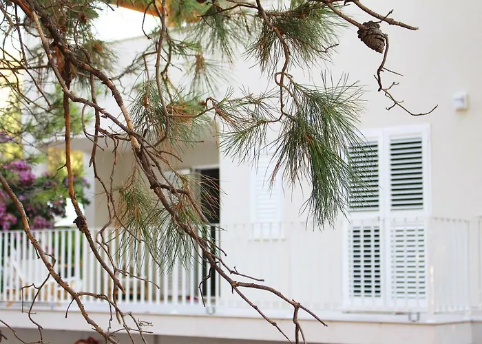 Luxury Family Front - Sunday House Villa